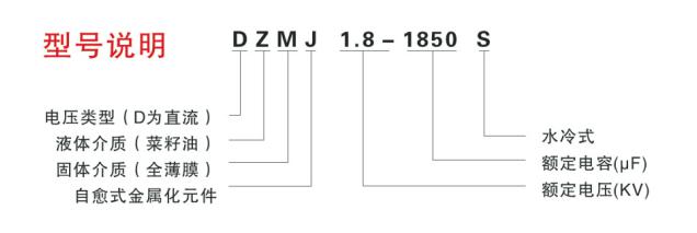 DZMJ大功率水冷直流滤波电容型号说明.jpg